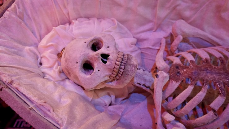 Haunt Worthy: Anatomy of Death Museum&nbsp;(MI)
